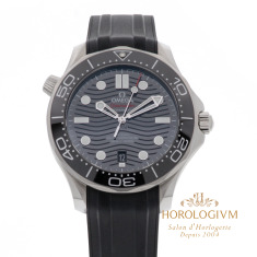 Omega Seamaster 42MM Diver 300M REF. 21032422001001, Watch, Silver (Case) and Silver & Black (Bezel)